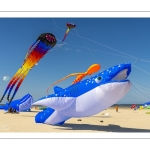 Rencontres Internationnales de Cerfs-volants de Berck-sur-mer (RICV) - 2022