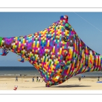 Rencontres Internationnales de Cerfs-volants de Berck-sur-mer (RICV) - 2022