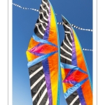 Rencontres Internationnales de Cerfs-volants de Berck-sur-mer (RICV) - 2022