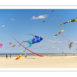 Rencontres Internationnales de Cerfs-volants de Berck-sur-mer (RICV) - 2022