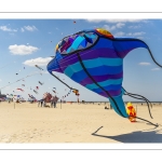 Rencontres Internationnales de Cerfs-volants de Berck-sur-mer (RICV) - 2022