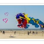 Rencontres Internationnales de Cerfs-volants de Berck-sur-mer (RICV) - 2022