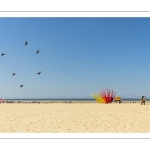 Rencontres Internationnales de Cerfs-volants de Berck-sur-mer (RICV) - 2022