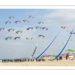 Rencontres Internationnales de Cerfs-volants de Berck-sur-mer (RICV) - 2022