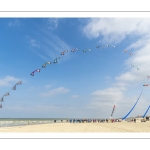 Rencontres Internationnales de Cerfs-volants de Berck-sur-mer (RICV) - 2022