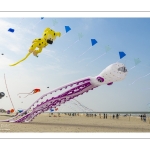 Rencontres Internationnales de Cerfs-volants de Berck-sur-mer (RICV) - 2022