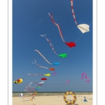 Rencontres Internationnales de Cerfs-volants de Berck-sur-mer (RICV) - 2022