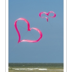 Rencontres Internationnales de Cerfs-volants de Berck-sur-mer (RICV) - 2022