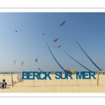 Rencontres Internationnales de Cerfs-volants de Berck-sur-mer (RICV) - 2022