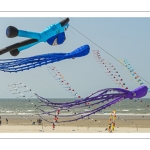 Rencontres Internationnales de Cerfs-volants de Berck-sur-mer (RICV) - 2022