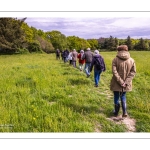 Le bois du Rompval
