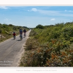 Promenande sur la route blanche entre Cayeux et le Hourdel. Départ de la la Mollière d'Aval et retour en longeant le front de mer. Saison : été - Lieu : La route blanche, La mollière d'Aval, Baie de Somme, Somme, Hauts-de-France, France.