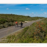 Promenande sur la route blanche entre Cayeux et le Hourdel. Départ de la la Mollière d'Aval et retour en longeant le front de mer. Saison : été - Lieu : La route blanche, La mollière d'Aval, Baie de Somme, Somme, Hauts-de-France, France.