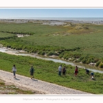 Promenande sur la route blanche entre Cayeux et le Hourdel. Départ de la la Mollière d'Aval et retour en longeant le front de mer. Saison : été - Lieu : La route blanche, La mollière d'Aval, Baie de Somme, Somme, Hauts-de-France, France.