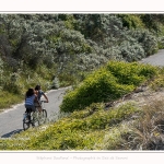 Promenande sur la route blanche entre Cayeux et le Hourdel. Départ de la la Mollière d'Aval et retour en longeant le front de mer. Saison : été - Lieu : La route blanche, La mollière d'Aval, Baie de Somme, Somme, Hauts-de-France, France.