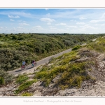 Promenande sur la route blanche entre Cayeux et le Hourdel. Départ de la la Mollière d'Aval et retour en longeant le front de mer. Saison : été - Lieu : La route blanche, La mollière d'Aval, Baie de Somme, Somme, Hauts-de-France, France.