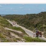 Promenande sur la route blanche entre Cayeux et le Hourdel. Départ de la la Mollière d'Aval et retour en longeant le front de mer. Saison : été - Lieu : La route blanche, La mollière d'Aval, Baie de Somme, Somme, Hauts-de-France, France.