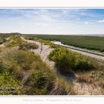 Promenande sur la route blanche entre Cayeux et le Hourdel. Départ de la la Mollière d'Aval et retour en longeant le front de mer. Saison : été - Lieu : La route blanche, La mollière d'Aval, Baie de Somme, Somme, Hauts-de-France, France.