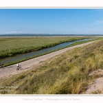 Promenande sur la route blanche entre Cayeux et le Hourdel. Départ de la la Mollière d'Aval et retour en longeant le front de mer. Saison : été - Lieu : La route blanche, La mollière d'Aval, Baie de Somme, Somme, Hauts-de-France, France.