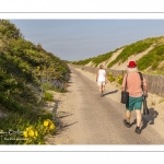 La route blanche, entre Cayeux et Le Hourdel