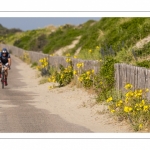 La route blanche, entre Cayeux et Le Hourdel