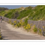 La route blanche, entre Cayeux et Le Hourdel