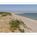 La route blanche, entre Cayeux et Le Hourdel