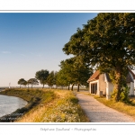 La jetÃ©e de Saint-Valery, face aux quais, avec sa lanterne et ses talus semÃ©s de jachÃ¨re fleurie.  - Saison : Ã©tÃ© - Lieu : Saint-Valery-sur-Somme, Baie de Somme, Somme, Picardie, France