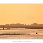 Coucher de soleil sur le chenal de la Somme Ã  Saint-Valery, vu depuis la lanterne (phare) - Saison : Ã©tÃ© - Lieu : Saint-Valery-sur-Somme, Baie de Somme, Somme, Picardie, France