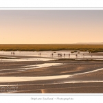 Un groupe de touristes de retour d'une promenade en baie guidÃ©e par un guide nature. - Saison : Ã©tÃ© - Lieu : Saint-Valery-sur-Somme, Baie de Somme, Somme, Picardie, France