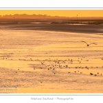 Coucher de soleil sur le chenal de la Somme Ã  Saint-Valery, vu depuis la lanterne (phare) - Saison : Ã©tÃ© - Lieu : Saint-Valery-sur-Somme, Baie de Somme, Somme, Picardie, France