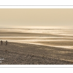 Promeneurs sur la plage de la Mollière d'Aval