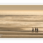 Promeneurs sur la plage de la Mollière d'Aval