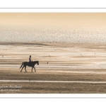 Equitation sur la plage de La Mollière d'Aval près de Cayeux-sur-mer