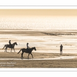 Equitation sur la plage de La Mollière d'Aval près de Cayeux-sur-mer