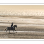 Equitation sur la plage de La Mollière d'Aval près de Cayeux-sur-mer