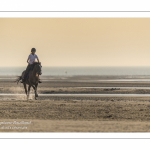 Equitation sur la plage de La Mollière d'Aval près de Cayeux-sur-mer