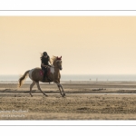 Equitation sur la plage de La Mollière d'Aval près de Cayeux-sur-mer