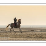 Equitation sur la plage de La Mollière d'Aval près de Cayeux-sur-mer