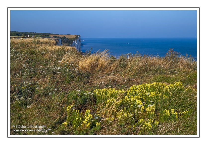 Le sentier du littoral entre Ault et le bois de Cise