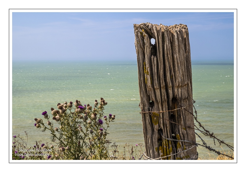Le sentier du littoral entre Ault et le bois de Cise