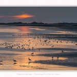 Saison : été - Lieu : Saint-Valery-sur-Somme, Baie de Somme, Somme, Hauts-de-France, France. - Panorama par assemblage d'images 6864 x 3432 px