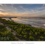Saison : Ã©tÃ© - Lieu : Cap Hornu, Saint-Valery-sur-Somme, Baie de Somme, Somme, Picardie, France.