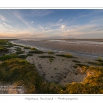 Saison : Ã©tÃ© - Lieu : Cap Hornu, Saint-Valery-sur-Somme, Baie de Somme, Somme, Picardie, France.