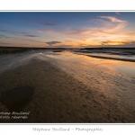 Saison : Ã©tÃ© - Lieu : Cap Hornu, Saint-Valery-sur-Somme, Baie de Somme, Somme, Picardie, France.