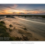Saison : Ã©tÃ© - Lieu : Cap Hornu, Saint-Valery-sur-Somme, Baie de Somme, Somme, Picardie, France.