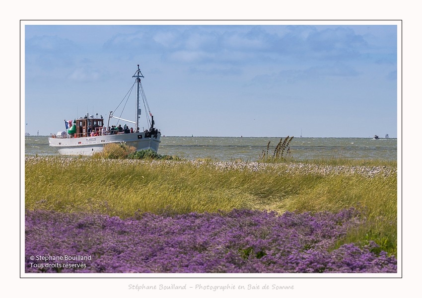 Baliseur_Somme_II_Cap_Hornu_25_07_2016_002-2-border