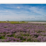 Baliseur_Somme_II_Cap_Hornu_25_07_2016_002-border