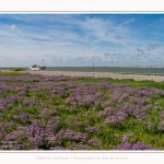 Baliseur_Somme_II_Cap_Hornu_25_07_2016_005-border