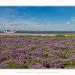 Baliseur_Somme_II_Cap_Hornu_25_07_2016_006-border